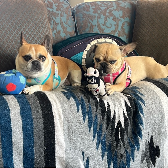 Automatic 20% off price adjustment when you add 2 or more items to your bundle!! - Picture 5 of 8